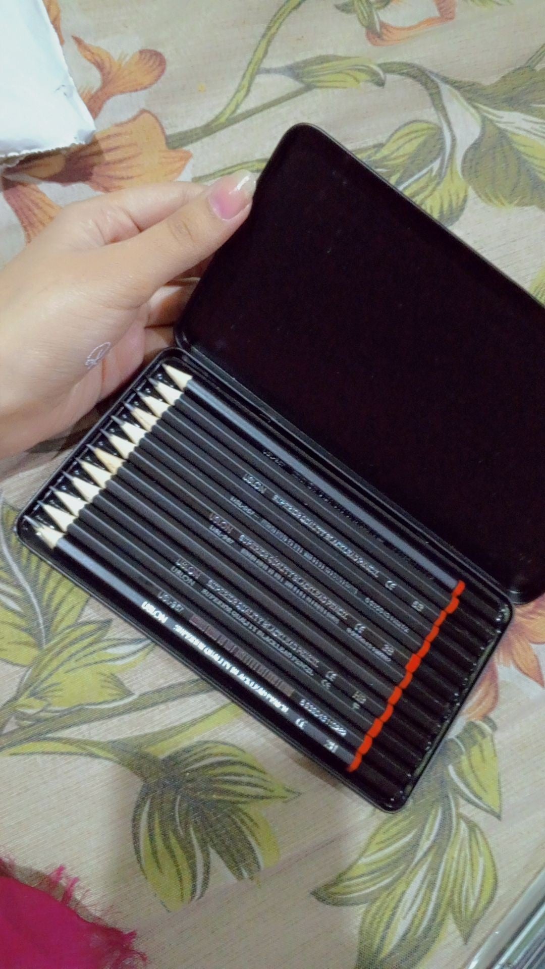 Professional Sketch and Drawing pencils set,Art Pencil 12-Count(8B-2H) Drawing/Sketching Pencil Set of 12 in Metal Box